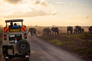 Serengeti With Zanzibar Extension Safari Tour